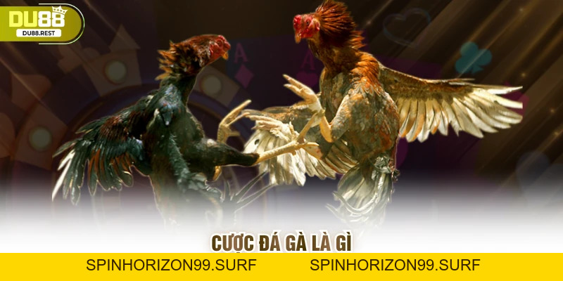 Cược đá gà Du88 – Hướng dẫn và mẹo thắng lớn cho game thủ - SPINHORIZON99
