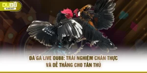 DU88 | Trang Chủ Mới Nhất acbang.ch | Update T10 - SPINHORIZON99