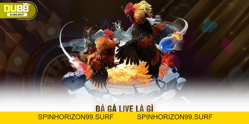 Đá gà live Du88 - Trải nghiệm chân thực và dễ thắng - SPINHORIZON99