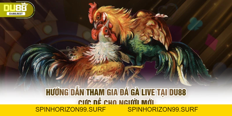 Đá gà live Du88 - Trải nghiệm chân thực và dễ thắng - SPINHORIZON99