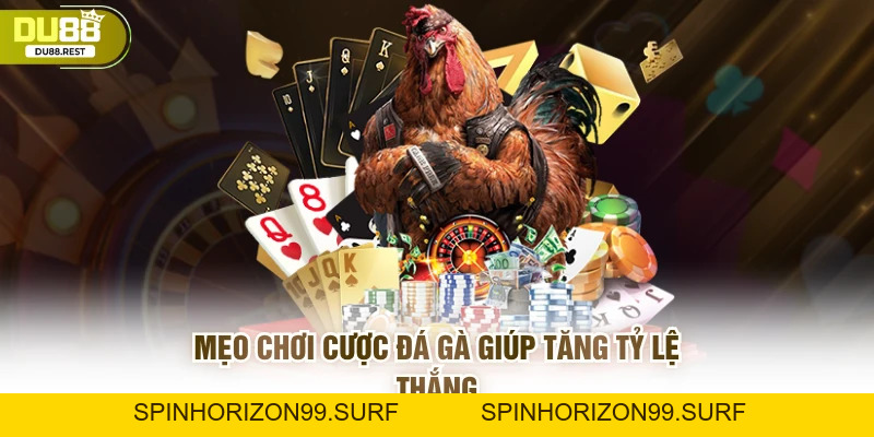 Cược đá gà Du88 – Hướng dẫn và mẹo thắng lớn cho game thủ - SPINHORIZON99