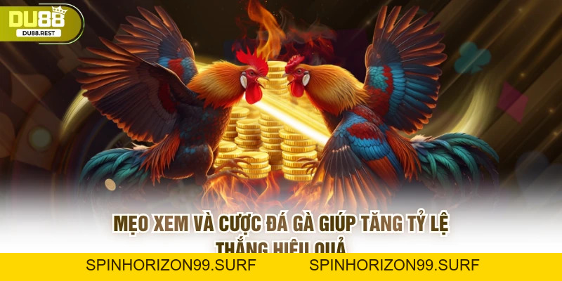 Đá gà DU88 – Trải nghiệm đá gà trực tuyến đỉnh cao 2026 - SPINHORIZON99