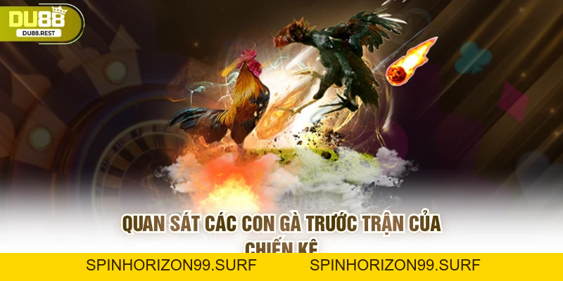 Cược đá gà Du88 – Hướng dẫn và mẹo thắng lớn cho game thủ - SPINHORIZON99